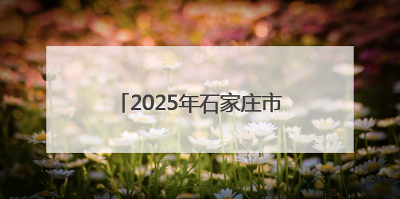 2025年石家庄市龙舟大赛在太平河开赛 20支龙舟队参赛