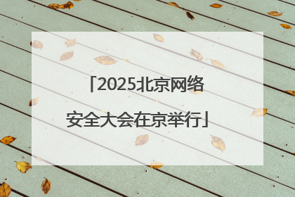 2025北京网络安全大会在京举行
