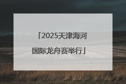 2025天津海河国际龙舟赛举行