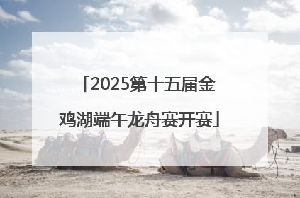 2025第十五届金鸡湖端午龙舟赛开赛