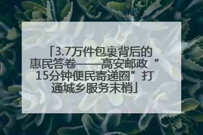 3.7万件包裹背后的惠民答卷——高安邮政“15分钟便民寄递圈”打通城乡服务末梢