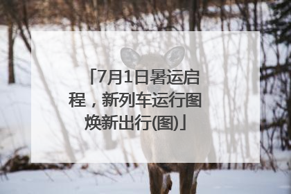 7月1日暑运启程，新列车运行图焕新出行(图)