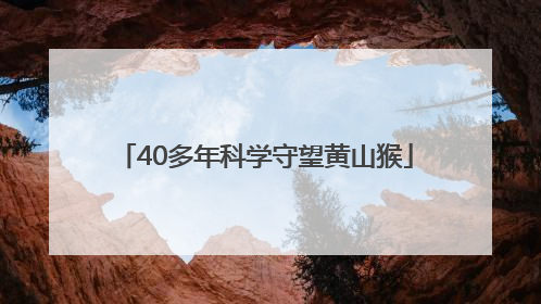 40多年科学守望黄山猴