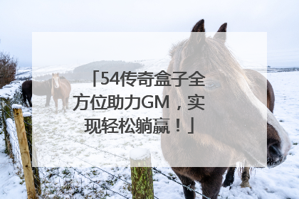 54传奇盒子全方位助力GM，实现轻松躺赢！