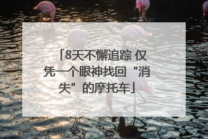 8天不懈追踪 仅凭一个眼神找回“消失”的摩托车