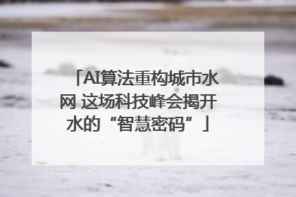 AI算法重构城市水网 这场科技峰会揭开水的“智慧密码”