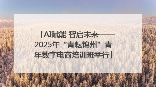 AI赋能 智启未来——2025年“青耘锦州”青年数字电商培训班举行