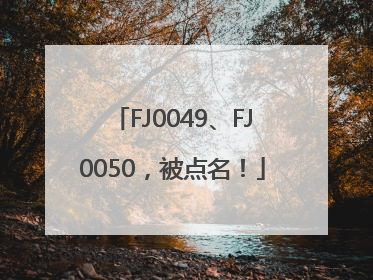 FJ0049、FJ0050，被点名！