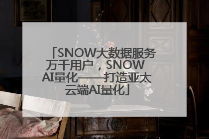 SNOW大数据服务万千用户，SNOW AI量化——打造亚太云端AI量化